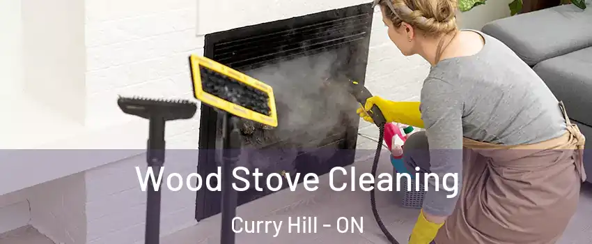  Wood Stove Cleaning Curry Hill - ON