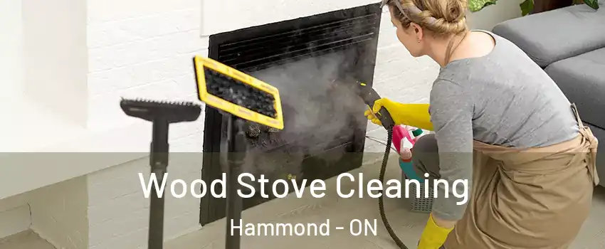  Wood Stove Cleaning Hammond - ON