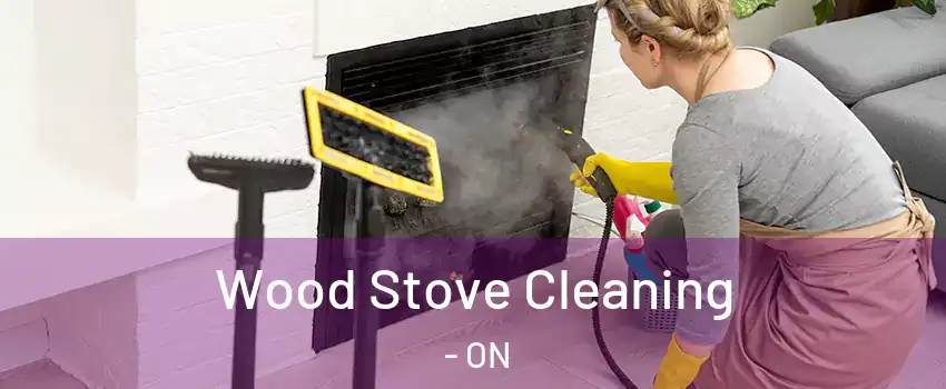  Wood Stove Cleaning - ON