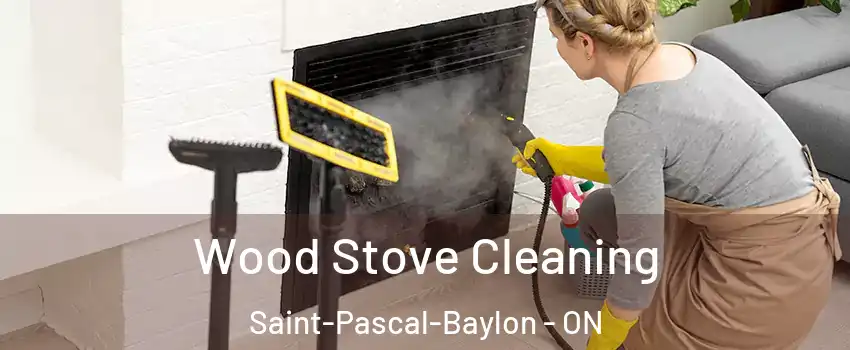  Wood Stove Cleaning Saint-Pascal-Baylon - ON